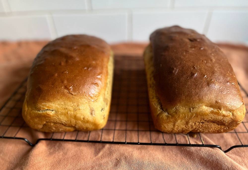 SWEDISH LIMPA BREAD