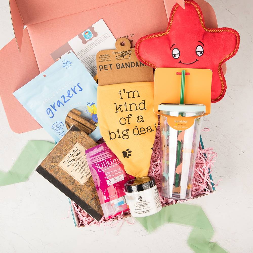 Ultimate Dog Mom Destressing Box Pre Pay 12 months