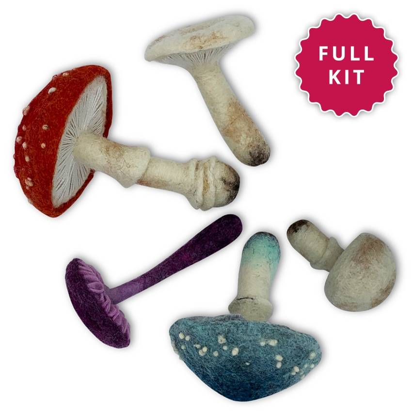 'MUSHROOMS & TOADSTOOLS' (FULL KIT)