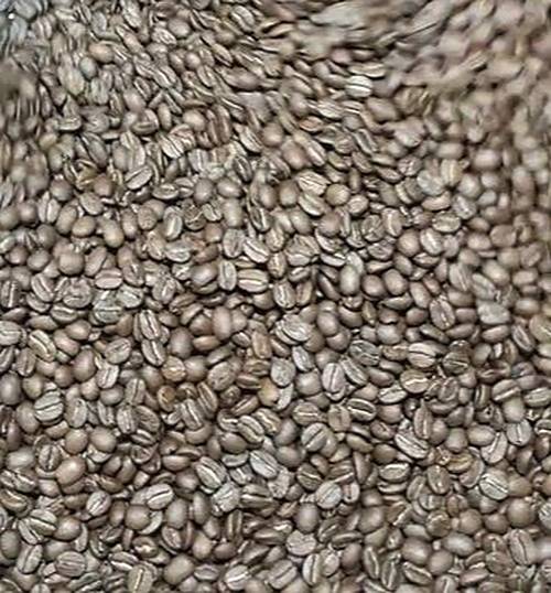 Micro Roast Coffee Beans (Monthly - No Shipping)