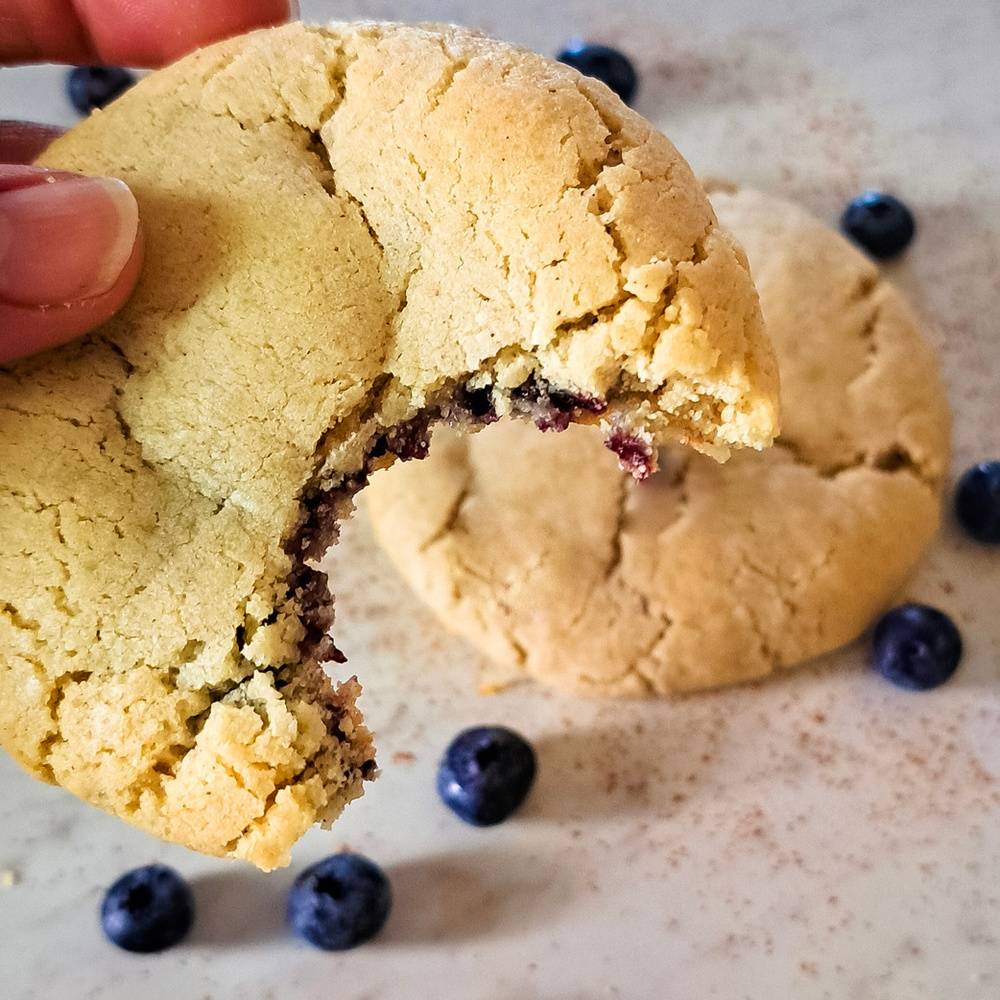 Blueberry Galette