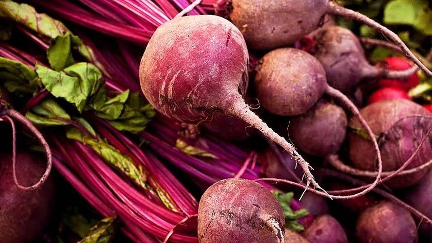 Steel Pony Farm – Beet Bundle