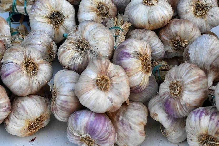 Steel Pony Farm – 1 lb of Garlic