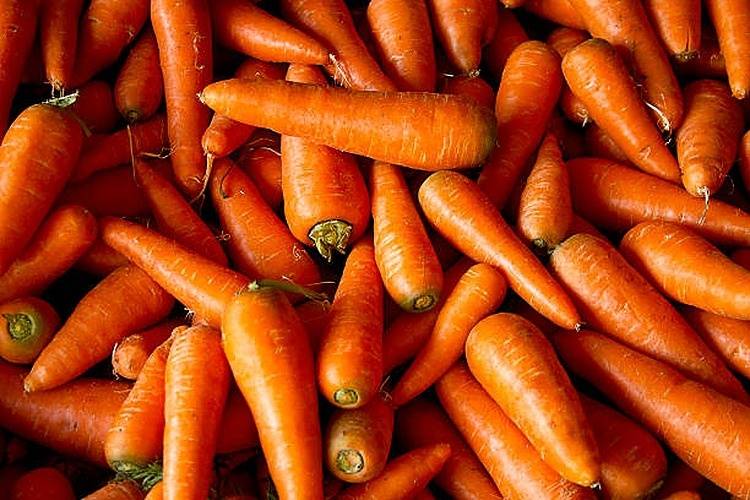 Steel Pony Farm – Carrots (3lbs)