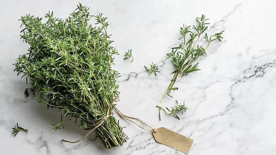 Amiable Organics - Organic Thyme