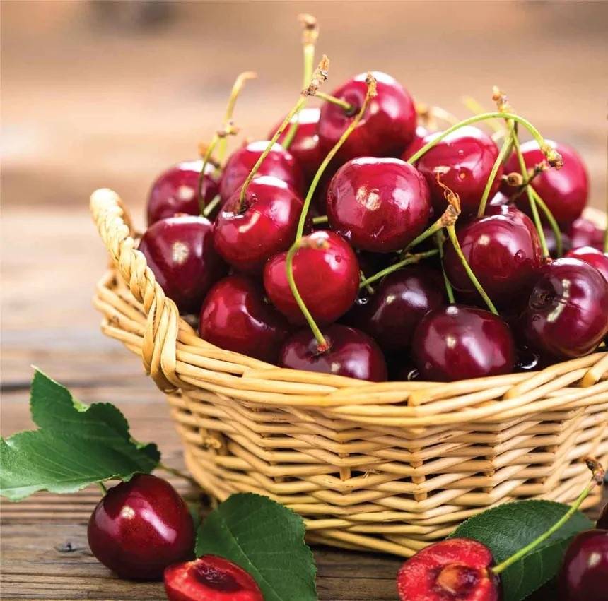 Discovery Organics - Organic BC Cherries 1lb