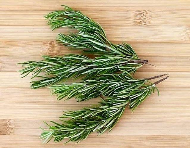 Amiable Organics - Rosemary