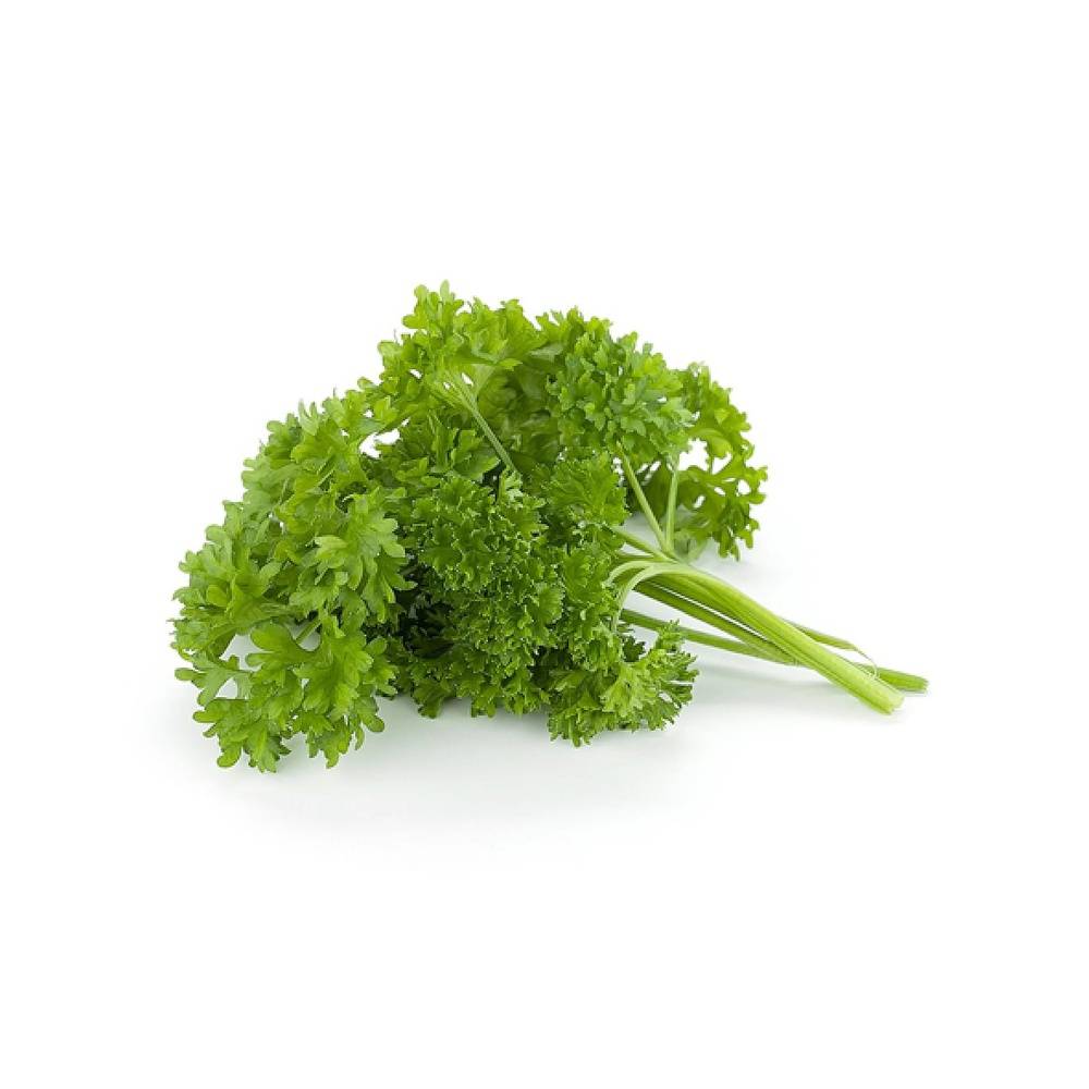 Nexlevel Greens - Curly Parsley Bundle 56g