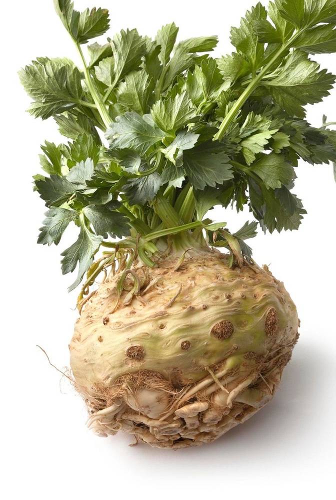 Amiable Organics - Organic Celeriac