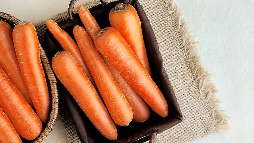 Steel Pony Farm – Carrots - 2 lb bag