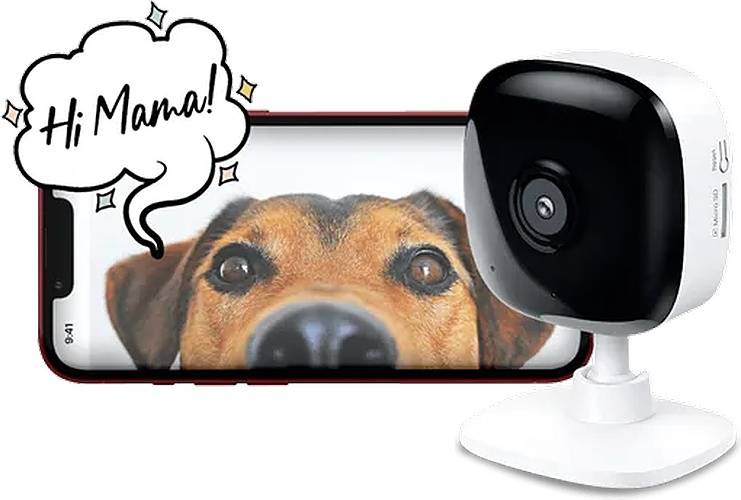 Pet Camera