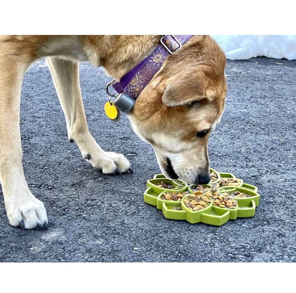 Enrichment Slow Feeder - Mandala