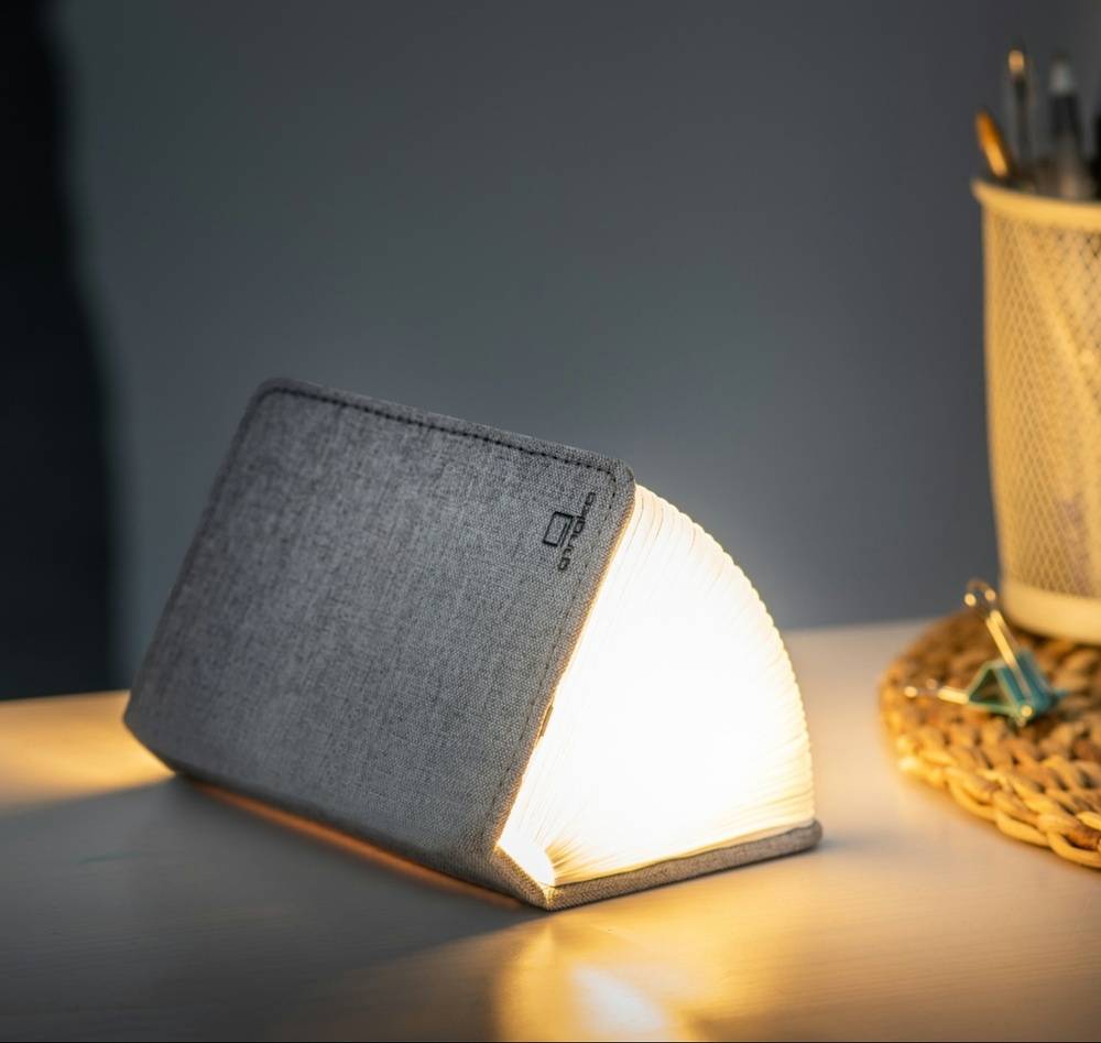 Mini Smart Book Light