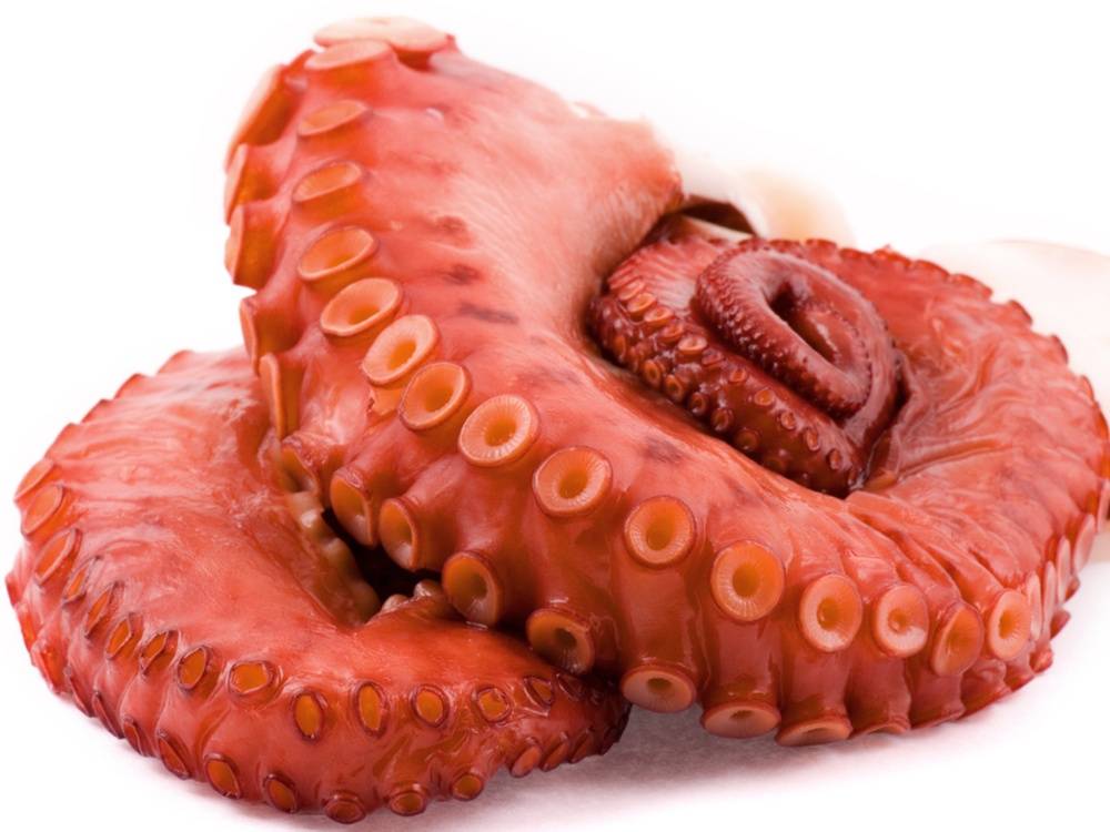 Tenderized Pre-Cooked Octopus Legs