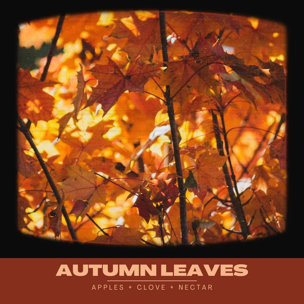 Autumn Leaves