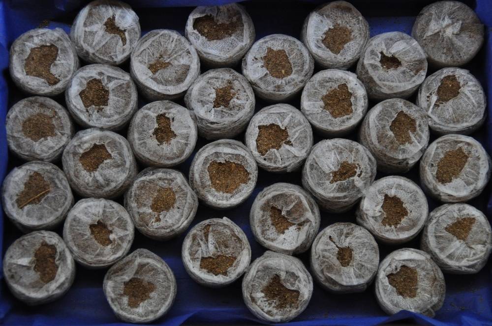 Coir discs with bag - Box 32