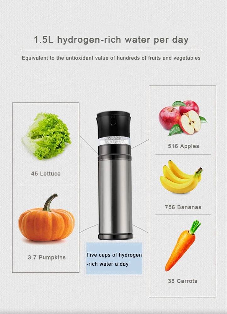 Stainless 03/Hydrogen Generator