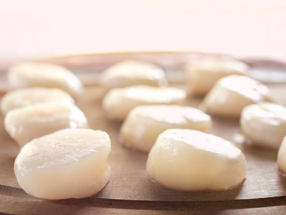 Wild-Caught Giant Dry Sea Scallops