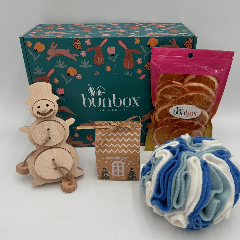 Snowy Season Bunny Gift Box