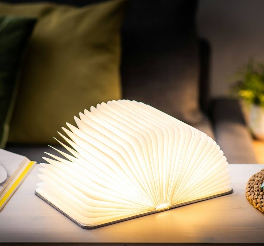 Mini Smart Book Light