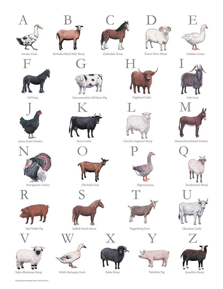 Heritage Breed Alphabet Poster Download