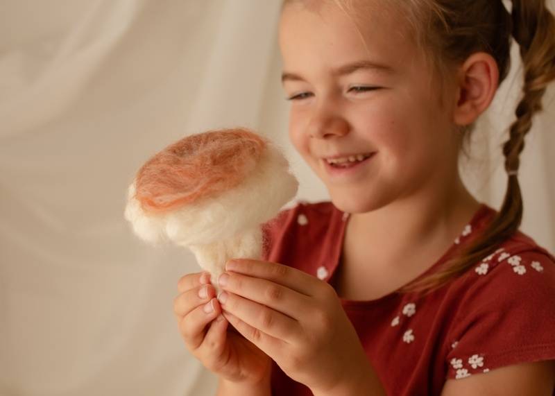 Needle Felted Mushroom Kit