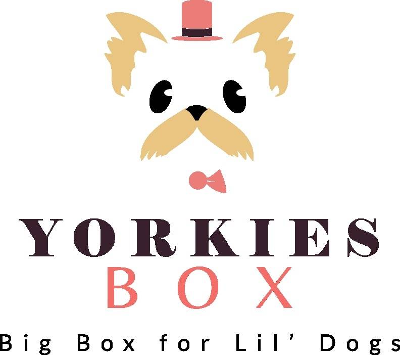 Yorkies Box Monthly Subscription