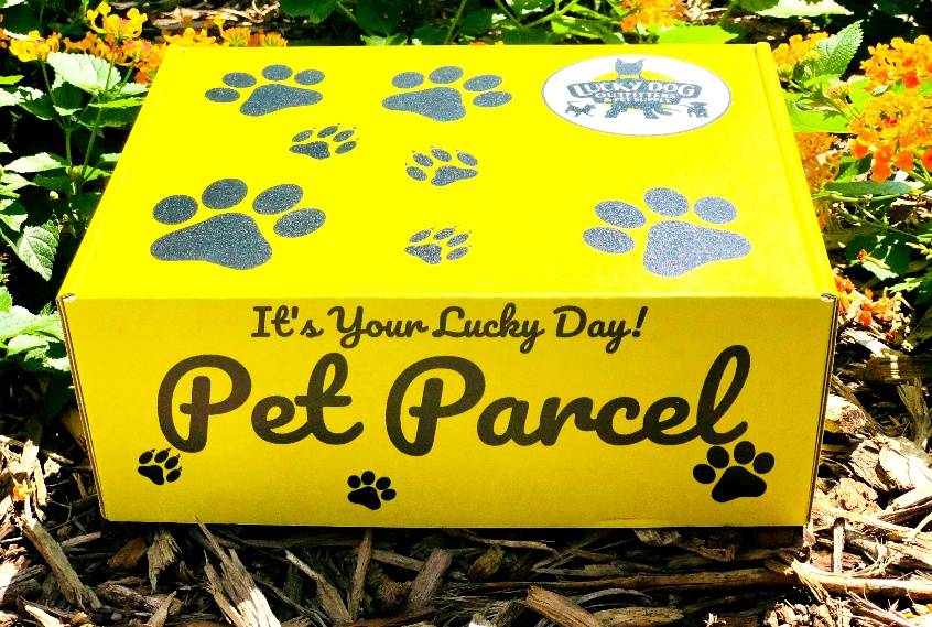 Pet Parcel Monthly Subscription (Dog)