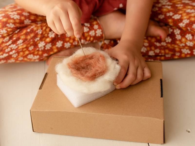 Needle Felted Mushroom Kit