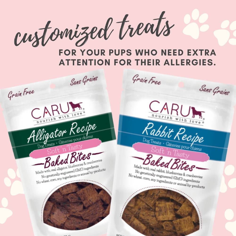 Dog Treats for Allergies