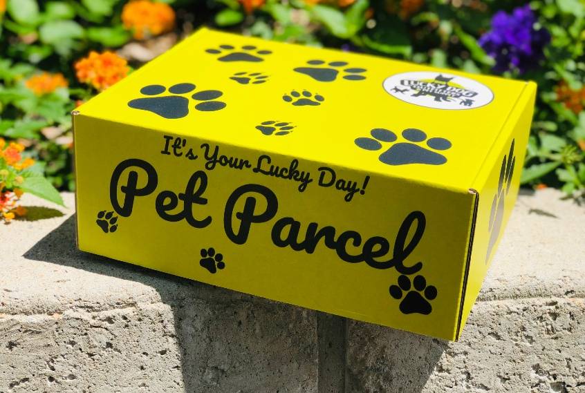 Pet Parcel Monthly Subscription (Dog)