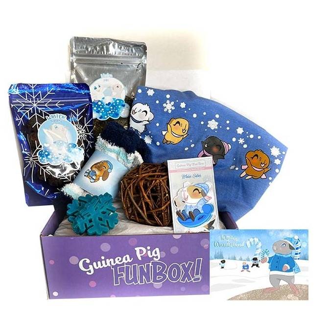 Winter Wonderland Guinea Pig FunBox Online Gift Certificate