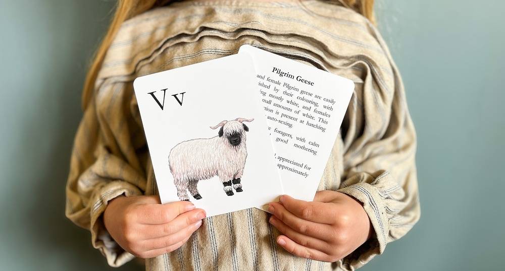 Heritage Breed Alphabet Cards