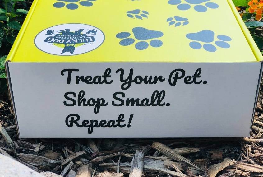 Pet Parcel Monthly Subscription (Dog)