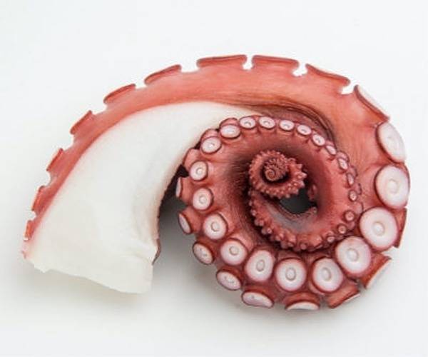 Tenderized Pre-Cooked Octopus Legs