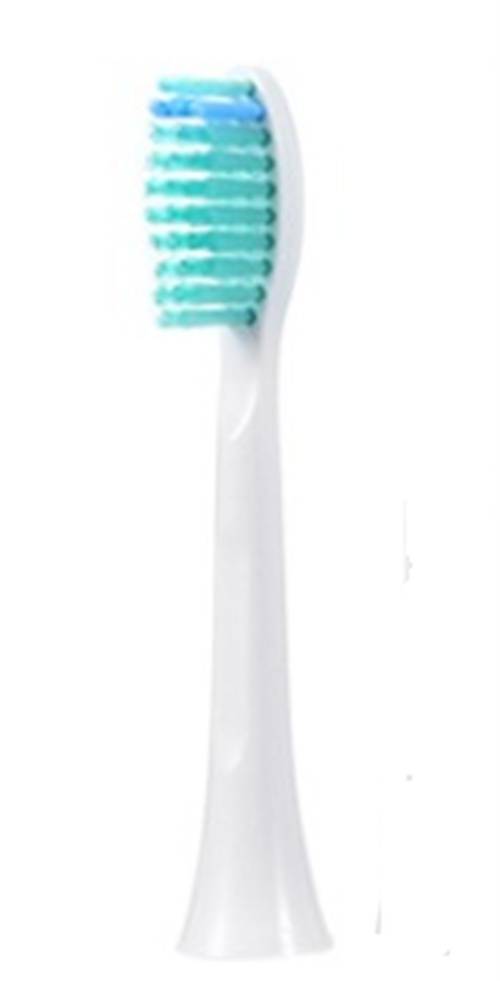 Electric Toothbrush Head Replacement