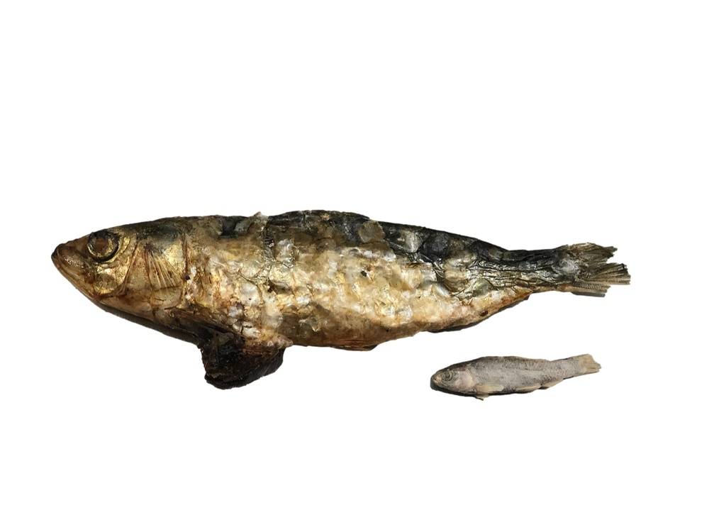 Whole Dried Sardine