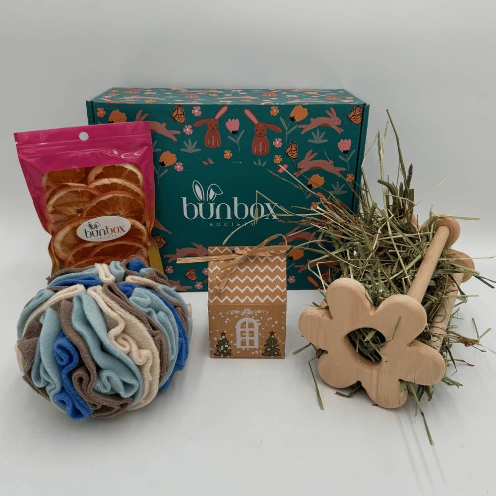 Holiday Village Bunny Gift Box