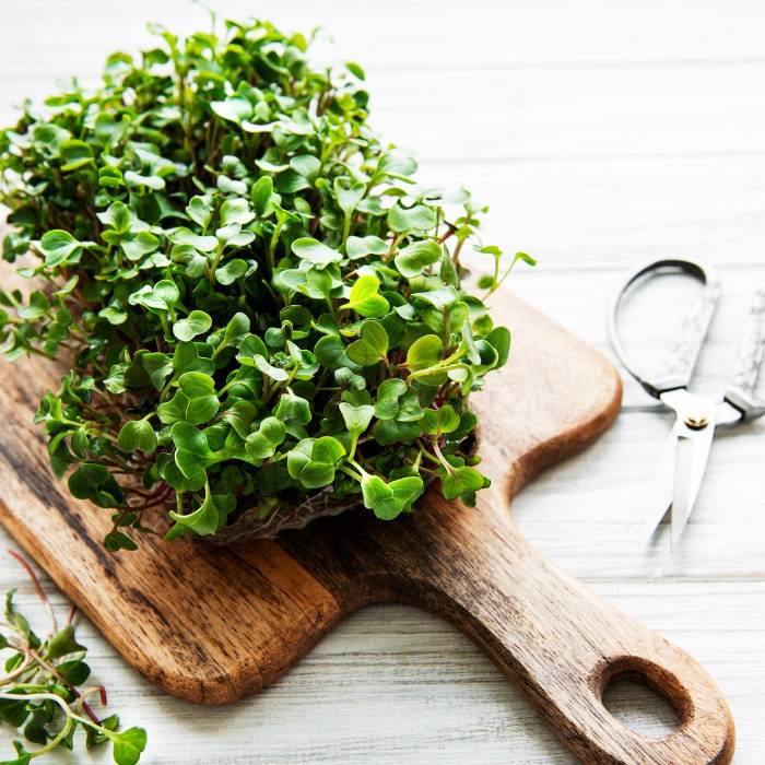 Custom Microgreen Bundle