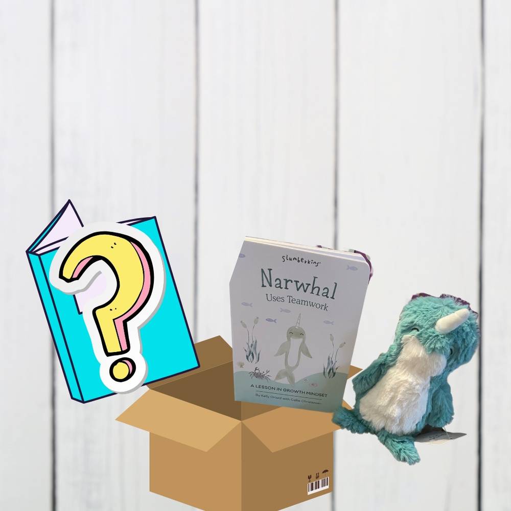 Mystery Middle Grade Box