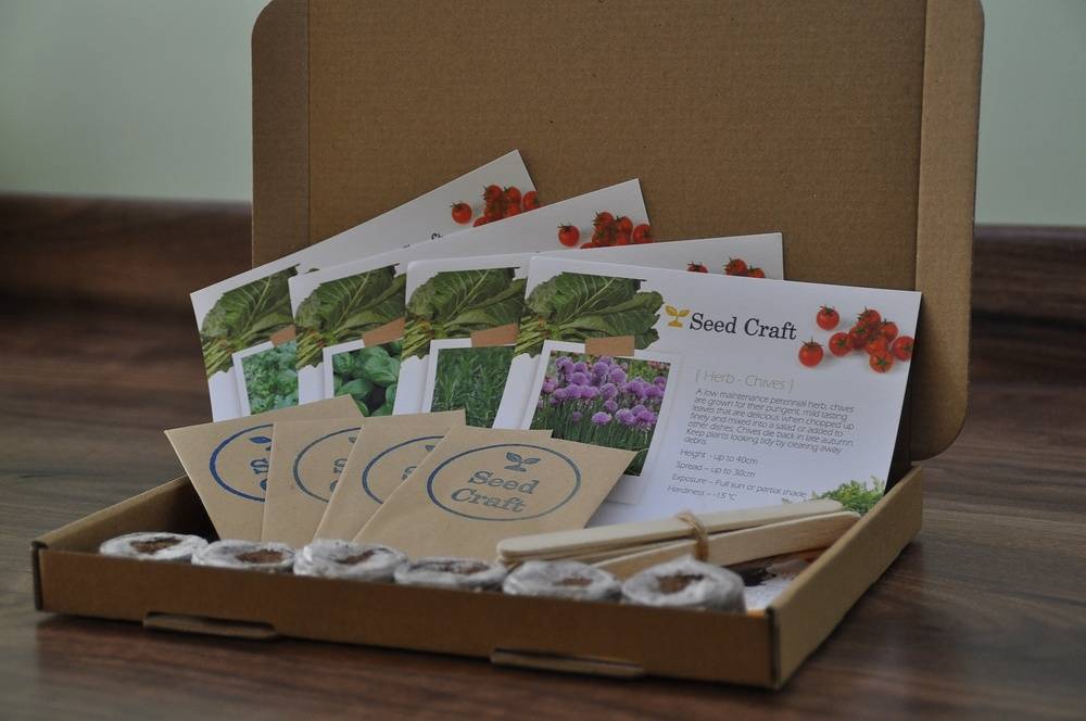 Letterbox Herb Seed Kit