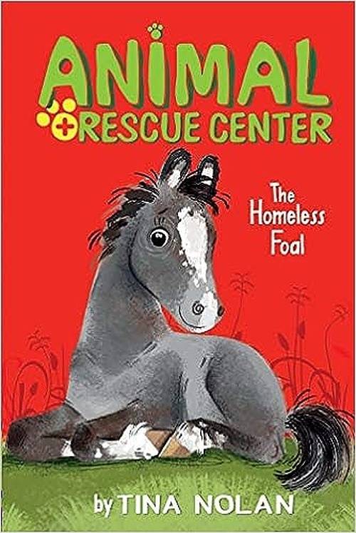 The Homeless Foal