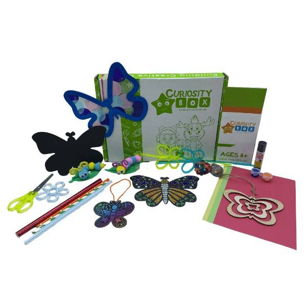 Metamorphosis Craft & Activity Box