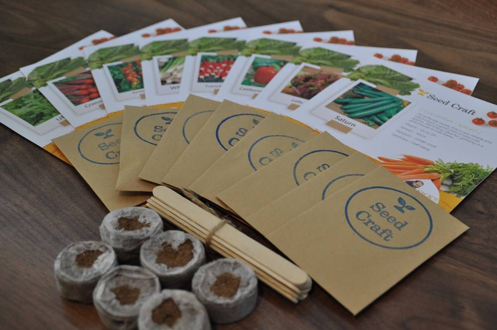 Letterbox Salad Seed Kit