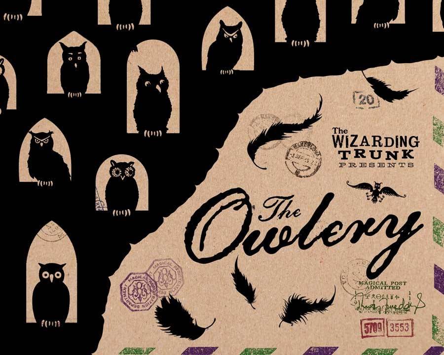 The Wizarding Trunk Subscription Box (Bi-Monthly)