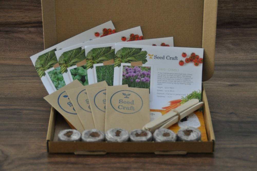 Letterbox Herb Seed Kit