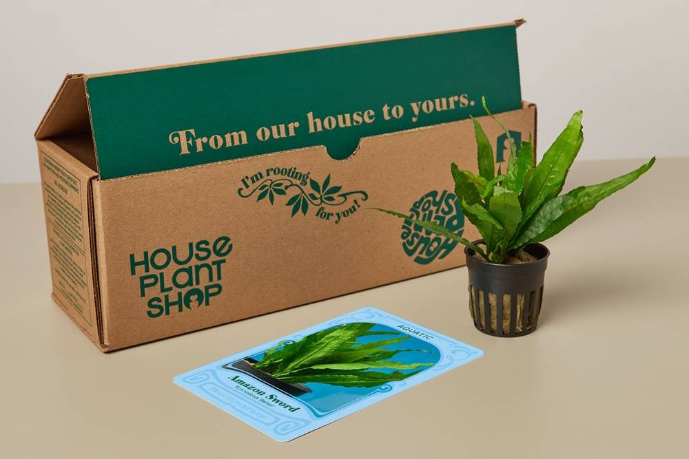 Aquatic Plant Box