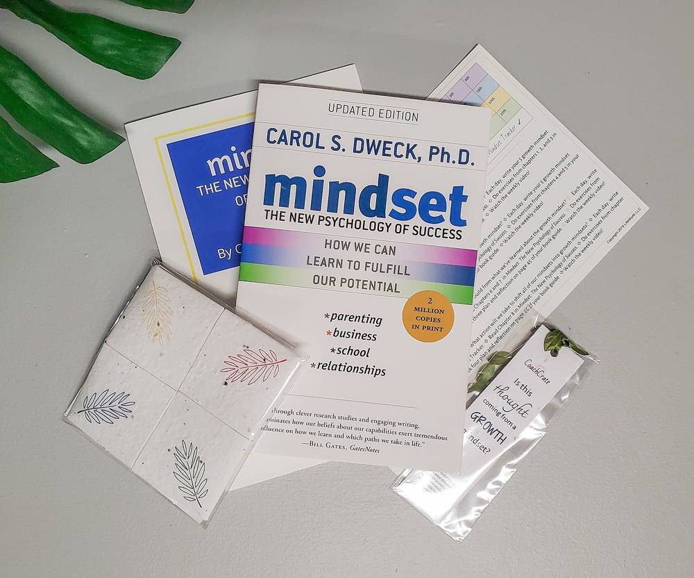 Growth Mindset Mini-Kit