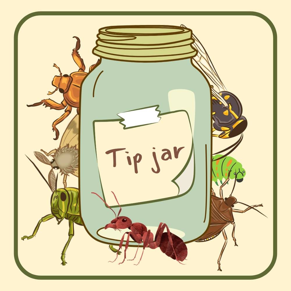 Tips <3 (international!)