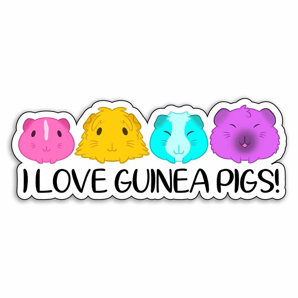 I Love Guinea Pigs Magnet